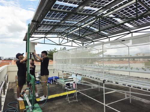 Students setting up the smart farming system at Yuhua AgriTech Solar Living Lab