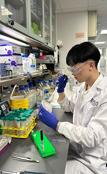 DBS student working in the lab during internship