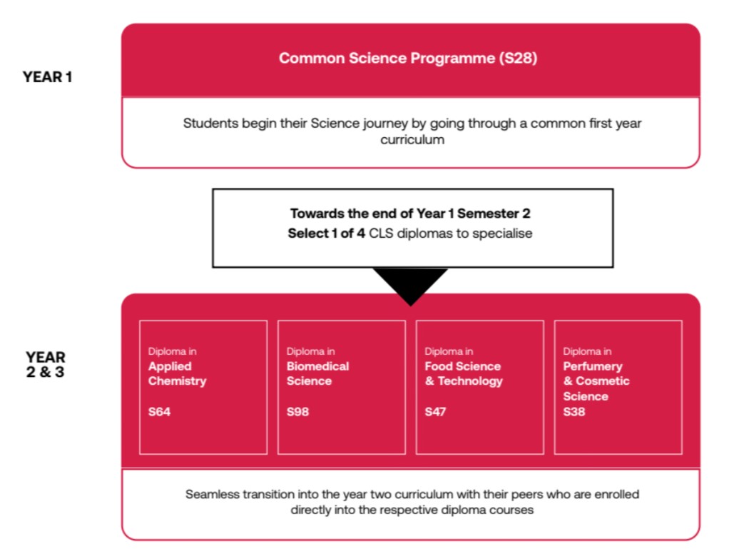 DCSP flowchart