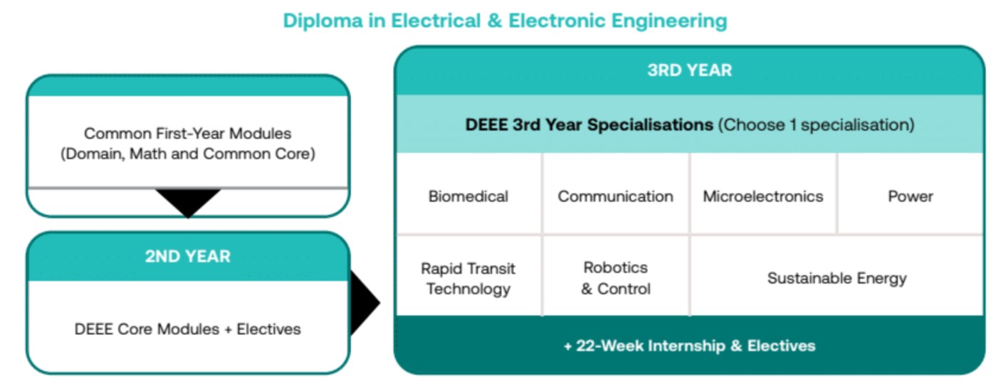 DEEE What You'll Study Flowchart