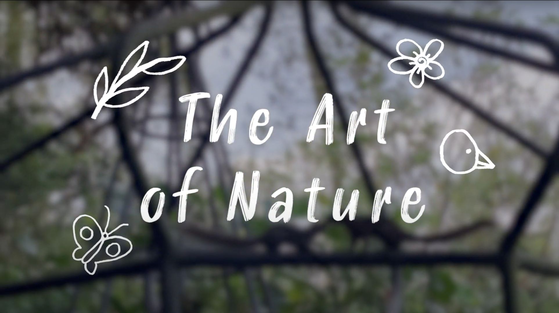 NParks The Art of Nature banner.