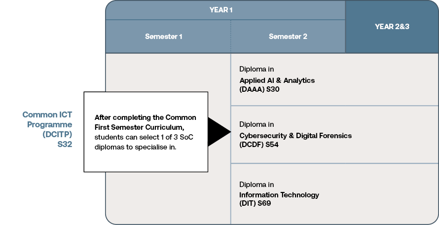 DCITP Programme Diagram