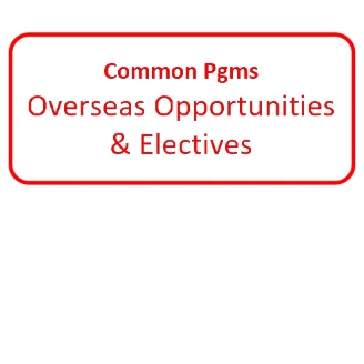 Common Programmes Overseas Opportunities & Electives